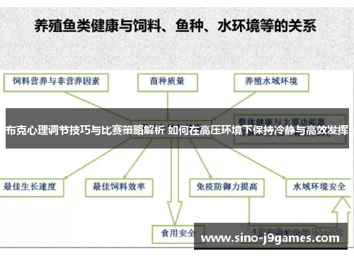 布克心理调节技巧与比赛策略解析 如何在高压环境下保持冷静与高效发挥