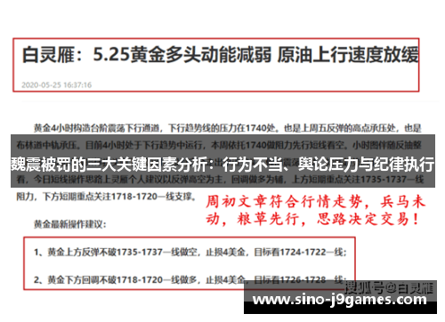 魏震被罚的三大关键因素分析:行为不当、舆论压力与纪律执行 魏震被罚的三大关键因素分析:行为不当、舆论压力与纪律执行